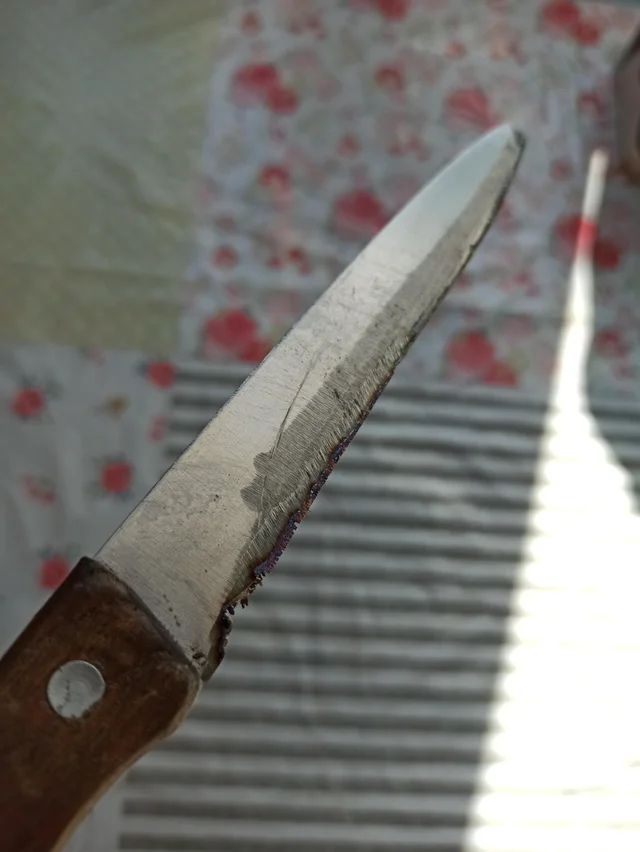 When the younger brother took up sharpening knives - Knife, Sharpening, Longpost