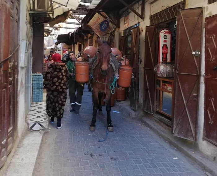 Morocco 2019. Day 4. Fes: - My, Adventures, Prose, Author's story, Hike, Writing, Story, Samizdat, The mountains, Туристы, Travels, Mountain tourism, Morocco, Africa, Casablanca, Longpost, Mat