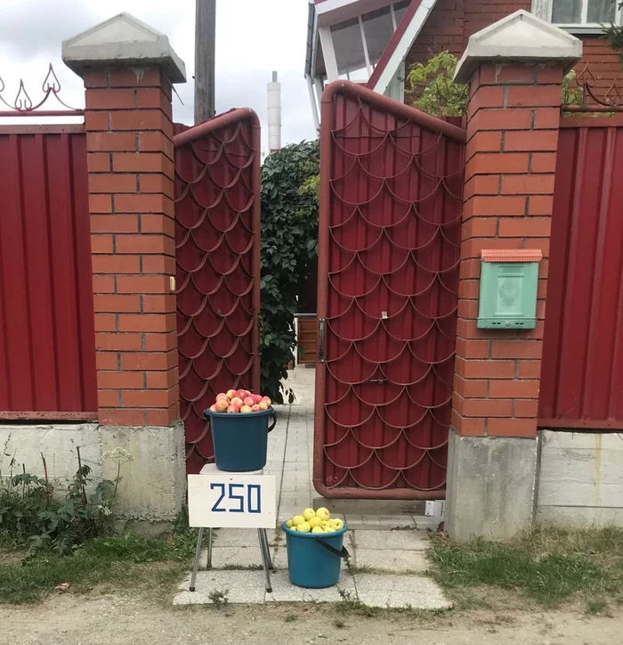 rustic - My, Tennis, Apples, Village, US Open, Andrey Rublev, Emotions, Sport, Video, Vertical video, Longpost