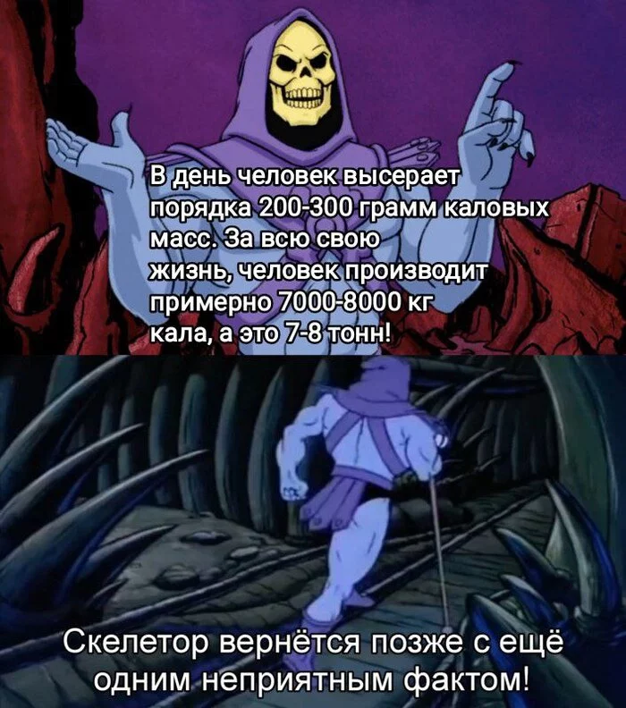 Interesting facts from Skeletor - Skeletor, Facts, Feces, Humor, Interesting, Statistics