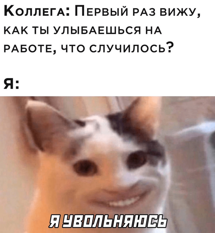  ...   , , , 