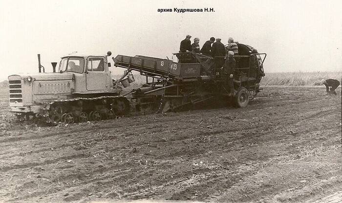 Let's go dig potatoes - Tractor, Potato, Combine harvester, The photo, Field, DT-75, Black and white photo