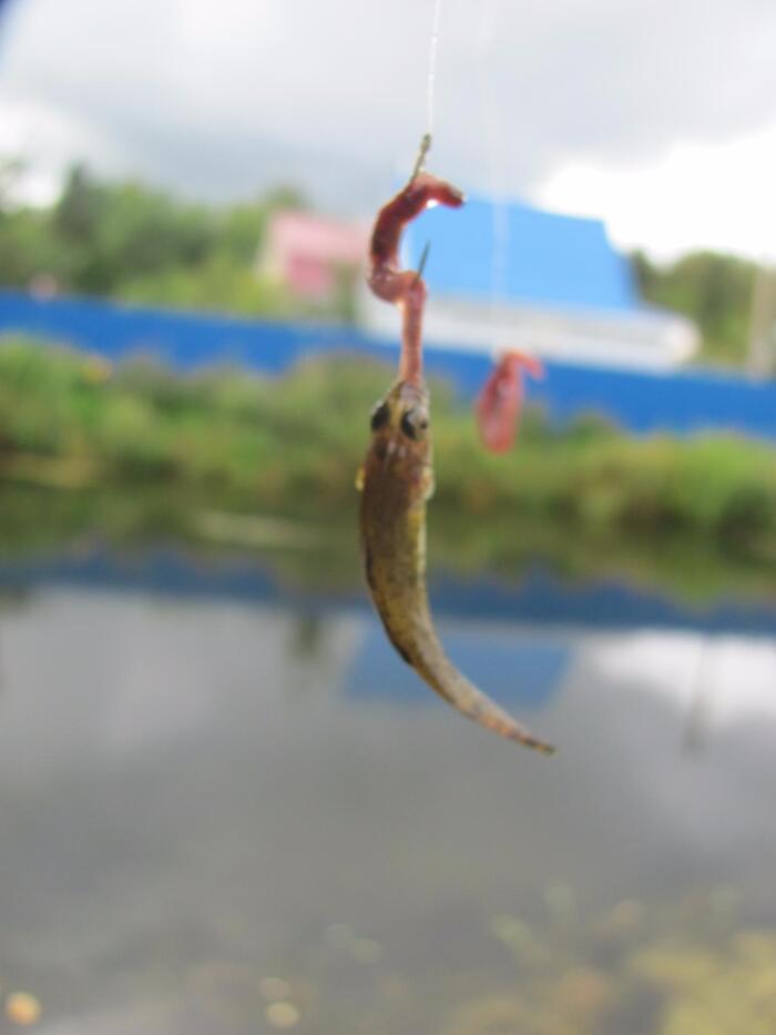  , !      , ! , , 