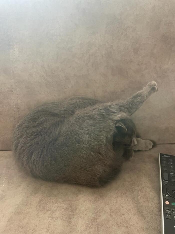    ... , , , 