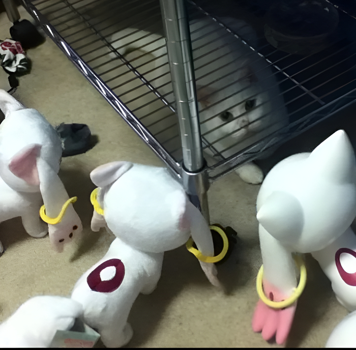 Окружен, но не сломлен