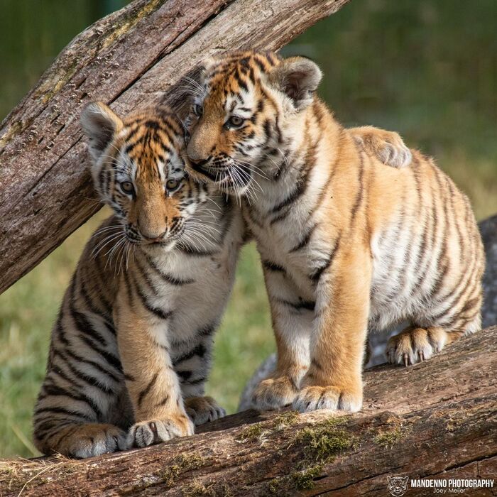 Ты, да я, да мы с тобой,