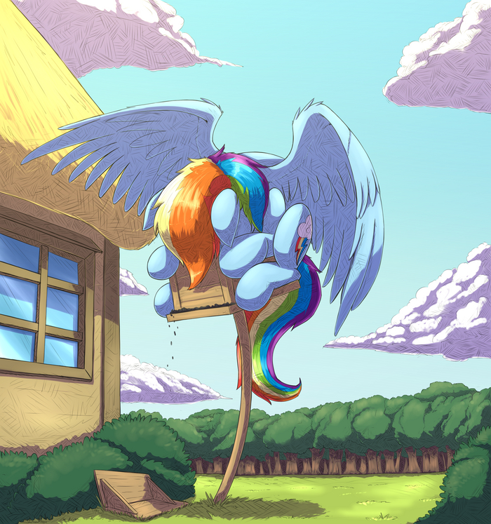  My Little Pony, Rainbow Dash, Otakuap