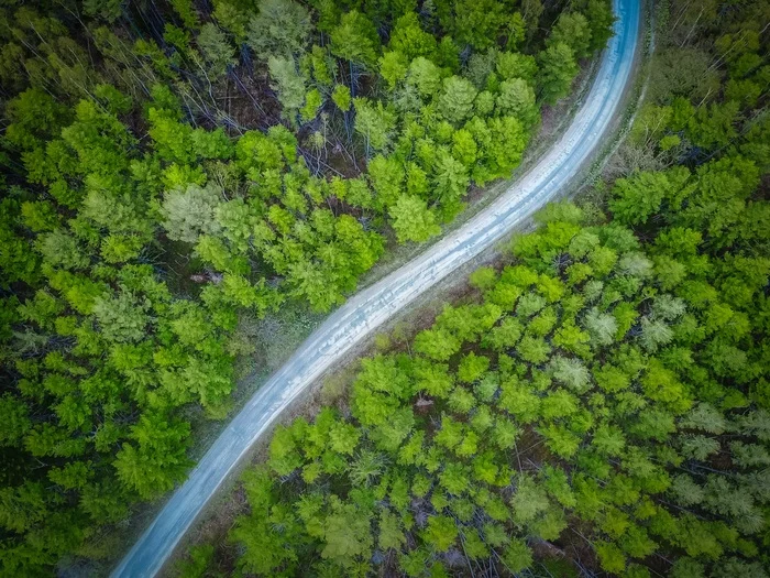 Road - My, The photo, Aerial photography, Sakhalin