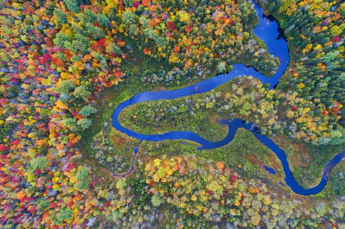 Яркая осень