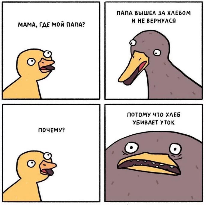 Don't feed ducks bread! - Humor, Memes, Vital, Animals, Repeat, Duck, Bread, Comics, Gasoline pairs