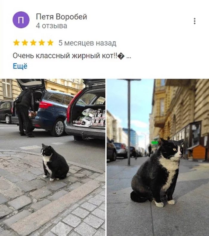 Polish landmark - fat cat - cat, sights, Poland, Humor, Beautiful, Review, Picture with text, Longpost, Screenshot