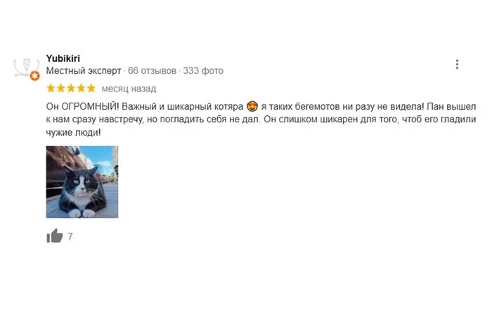 Polish landmark - fat cat - cat, sights, Poland, Humor, Beautiful, Review, Picture with text, Longpost, Screenshot