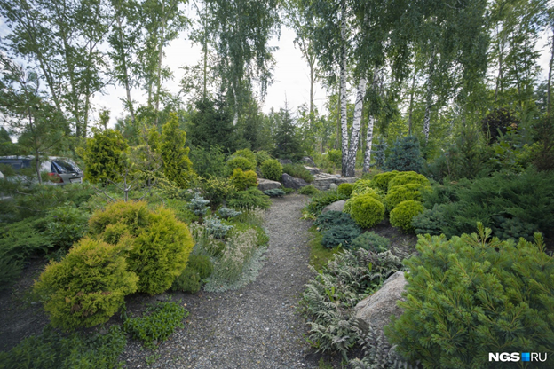 A landscape park on the site of a landfill was created by a resident of Novosibirsk with her own hands - Ecology, Garbage, Plants, Garden, Good deeds, Novosibirsk, Longpost