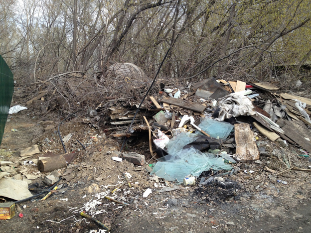 A landscape park on the site of a landfill was created by a resident of Novosibirsk with her own hands - Ecology, Garbage, Plants, Garden, Good deeds, Novosibirsk, Longpost