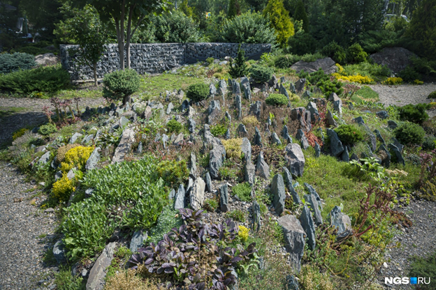 A landscape park on the site of a landfill was created by a resident of Novosibirsk with her own hands - Ecology, Garbage, Plants, Garden, Good deeds, Novosibirsk, Longpost