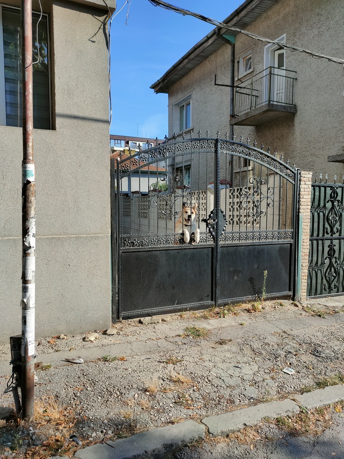 ������� ����� �������