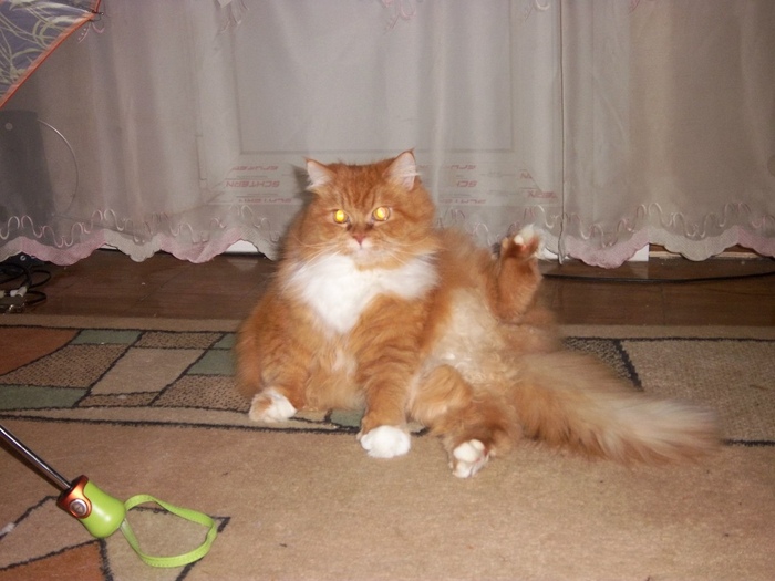 Огнем горят глаза -жених я хоть куда!