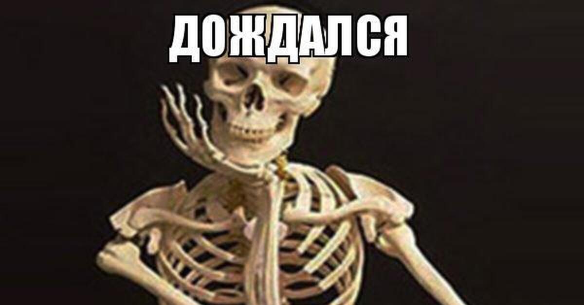 Картинка дождались наконец то