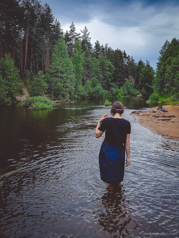 ������ �����������