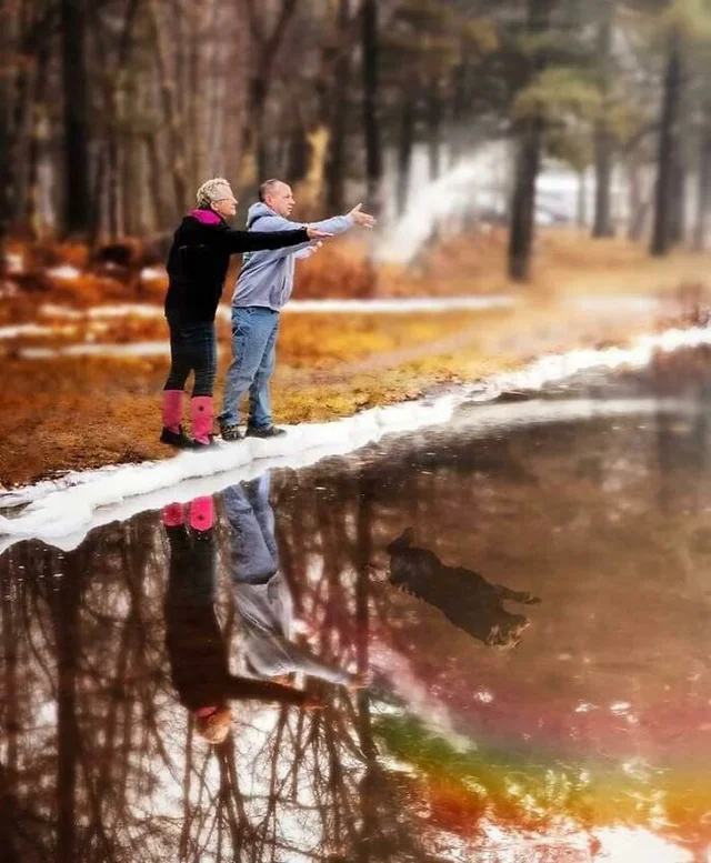 Хозяева попросили добавить на фотографию Тимбера, их недавно ушедшего пса, когда они развеивают его прах на пруду Photoshop, Собака, Прах, Милота