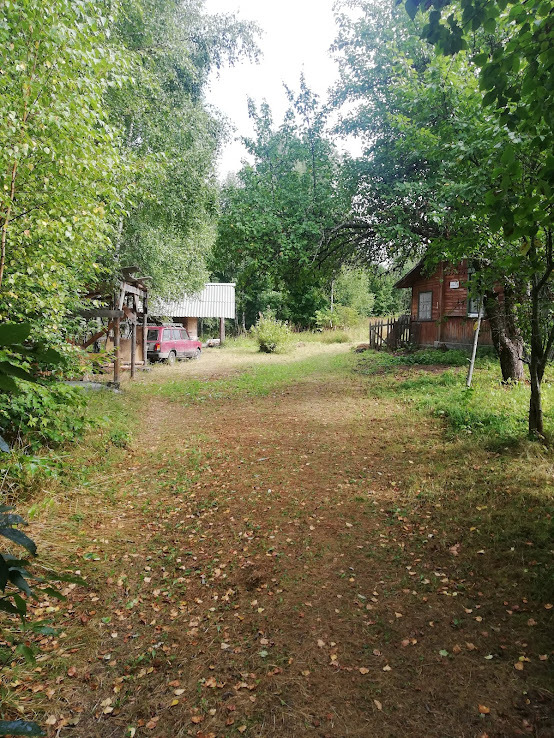 Fisherman's hut in the village - My, Dacha, Village, Travels, Forest, Camping, Hut, Carp, Longpost