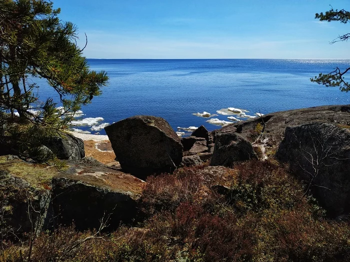 Two weeks in Karelia. Second day - My, Карелия, Malinois, Road trip, Lake Onega, Longpost, Travel across Russia