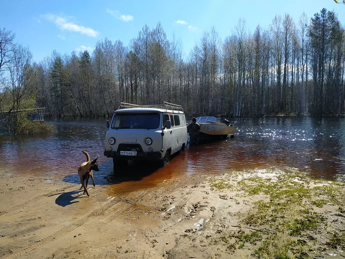 Two weeks in Karelia. Second day - My, Карелия, Malinois, Road trip, Lake Onega, Longpost, Travel across Russia