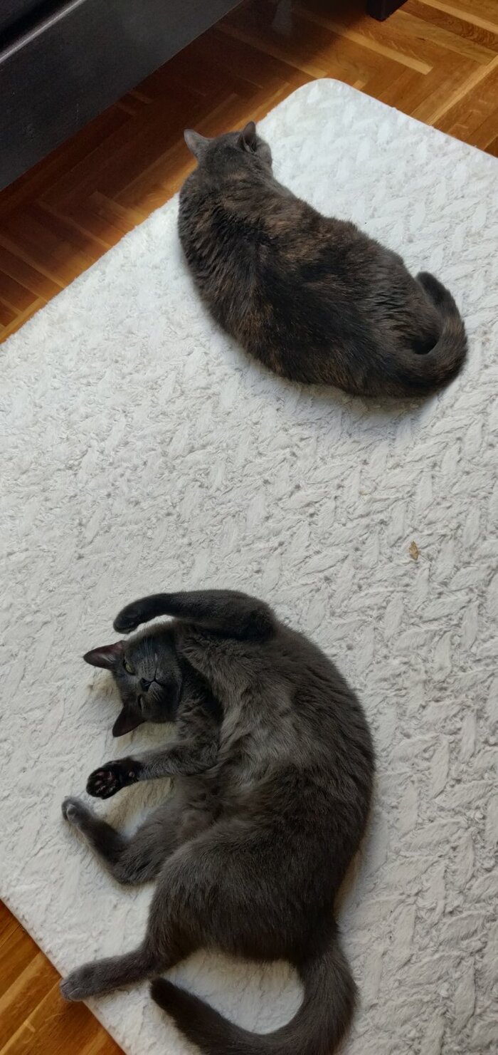    ,  , , 
