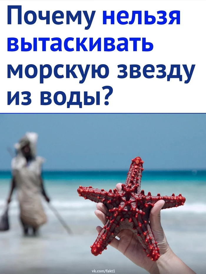 However - Starfish, Picture with text, Informative, Sadness, Longpost