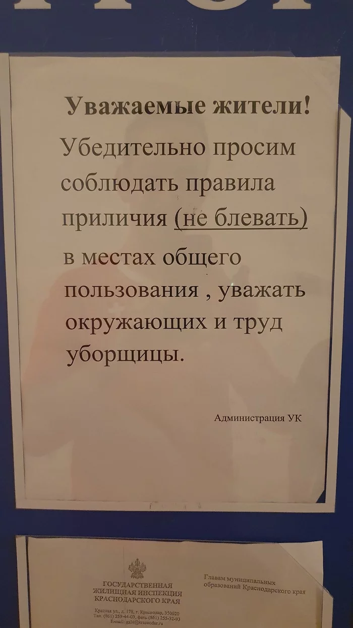 Когда ваш дом не борется за звание дома высокой культуры быта - Моё, Фотография, Многоэтажка, Объявление