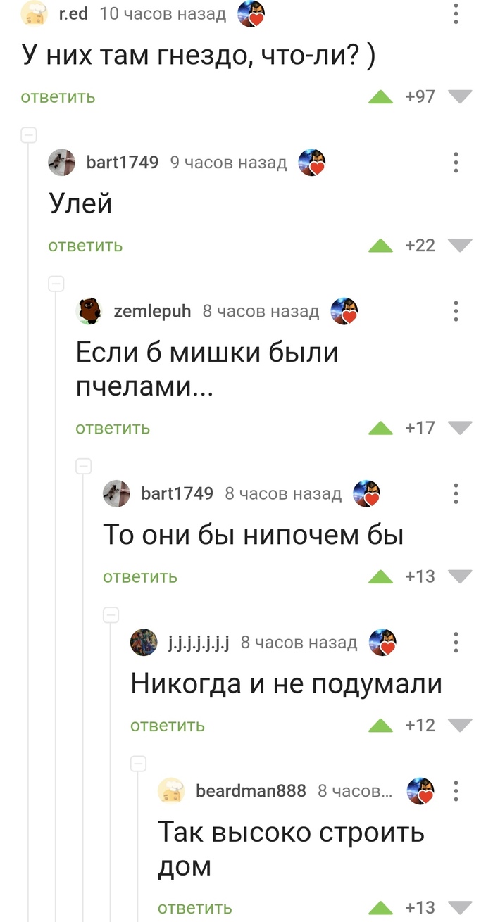 Комментарии на Пикабу: истории из жизни, советы, новости, юмор и картинки —  Все посты | Пикабу