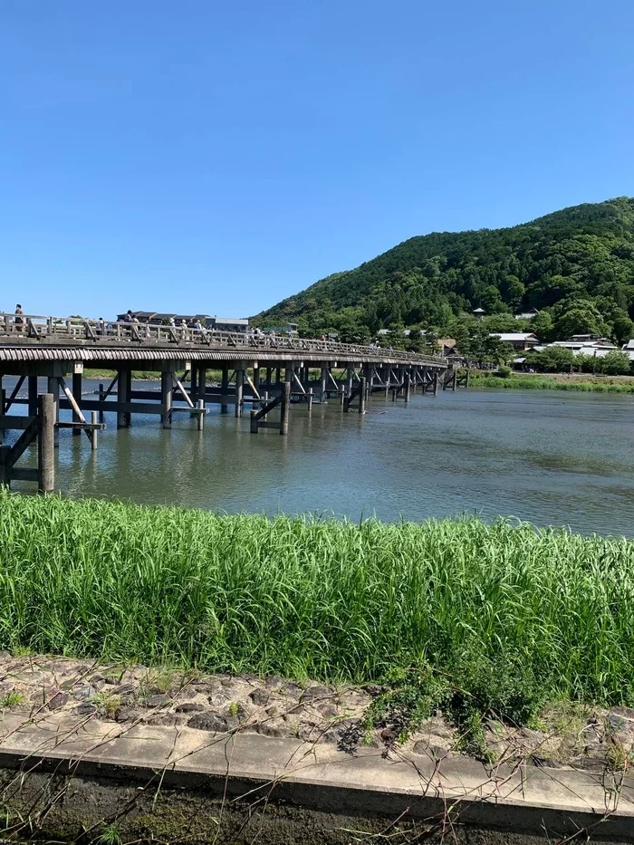 Atmosphere of the former capital of Japan, Kyoto (Arashiyama) - My, Japan, Tourism, Travels, Video, Asia, Architecture, River, Bridge, Emigration, Family, The photo, Longpost, Vertical video, beauty of nature