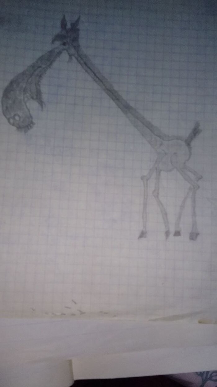 .  , , , , , , 