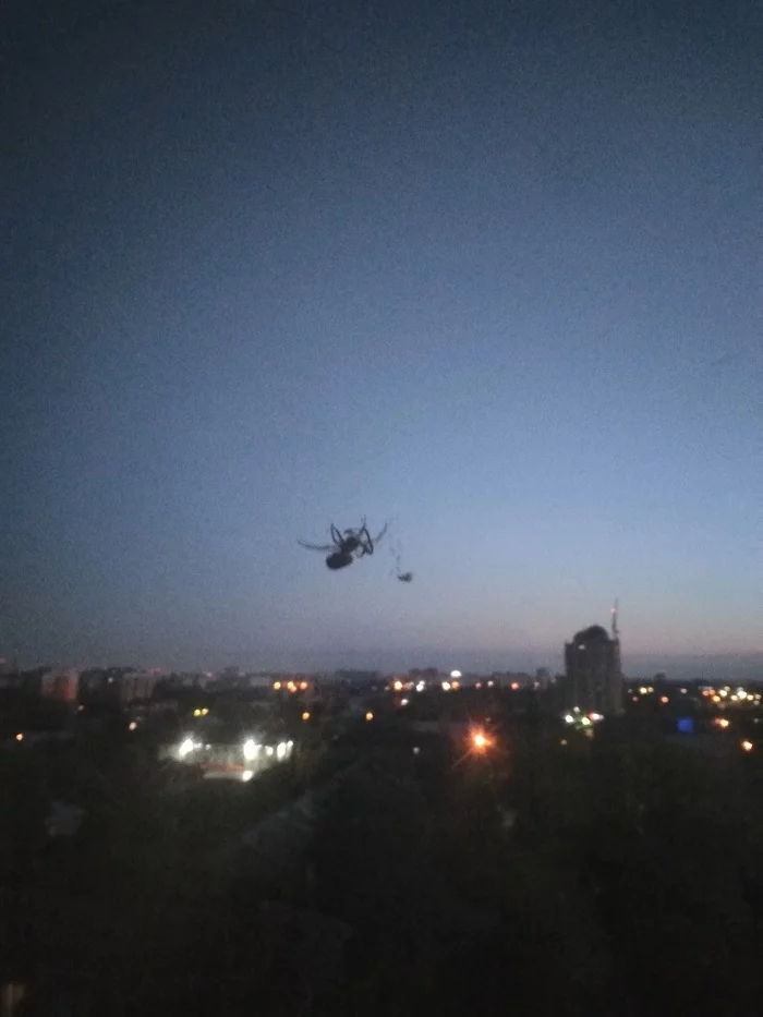 Neighbor - My, Spider, Night, Arachnophobia