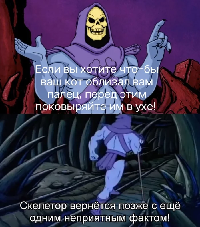 cat shift - cat, Lick, Fingers, Skeletor, Memes, Picture with text