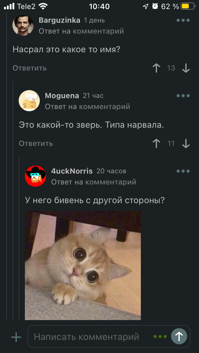 The first post, and the screenshot of the comments) could not pass by - Screenshot, Animals, Strange humor