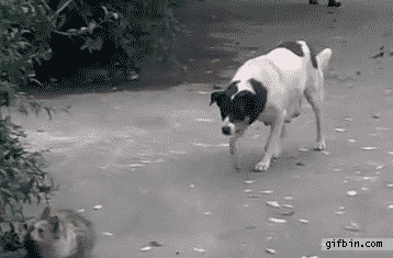      , , 