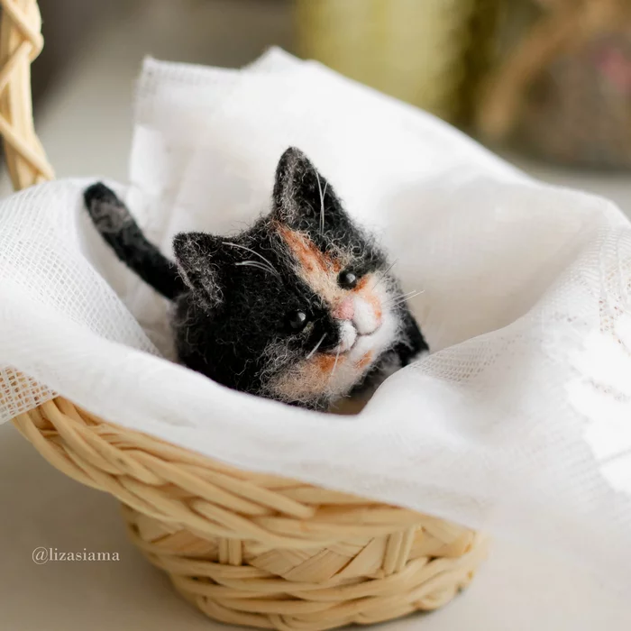 Mini cats. dry felting - My, Dry felting, Needlework, cat, Creation, Art, With your own hands, Toys, Longpost, Needlework without process