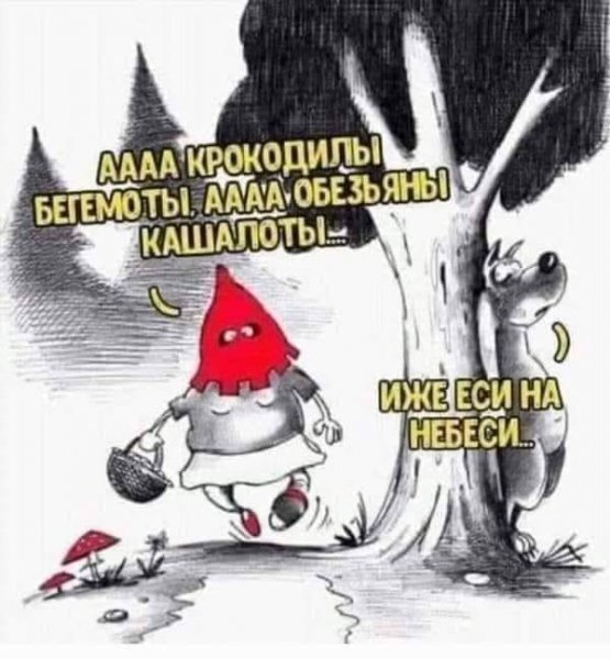 Red Riding Hood! - Humor, Picture with text, Repeat, Little Red Riding Hood, Wolf, Hardened