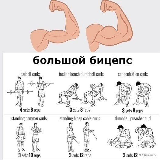 The most effective exercises for all muscle groups - My, Workout, Health, Slimming, Fitness, Excess weight, Diet, Motivation, Sport, Body-building, Exercises, Nutrition, Healthy lifestyle, Proper nutrition, Run, Longpost, Тренер