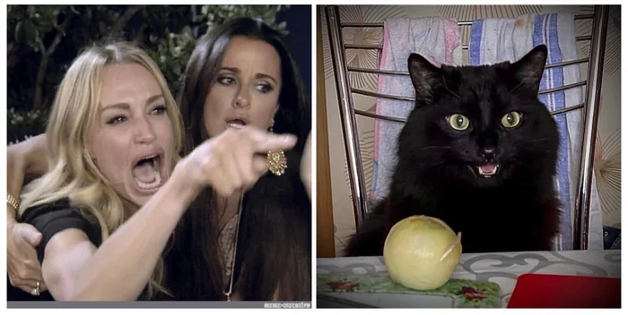 #Russiancat - Моё, Black Cat, Onion, Мемы, Кот