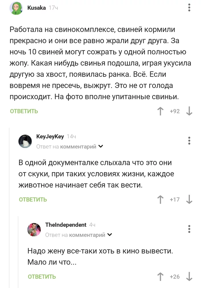 Когда боишься за свою жеппу - Скриншот, Свинья, Комментарии на Пикабу