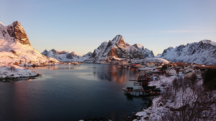 Reine -        ,  , , 