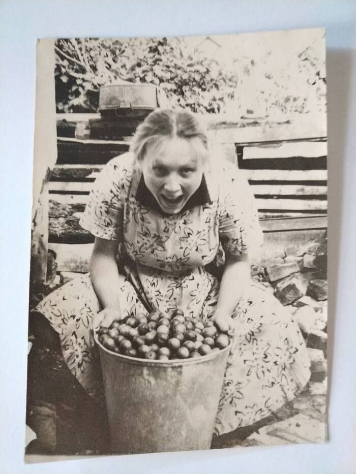 Девушка с собранным ведром алычи, 1957, Краснодар