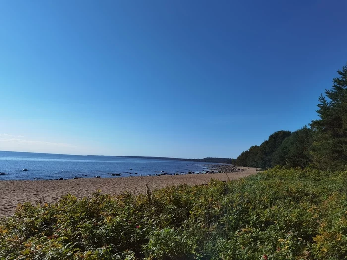 Rest on the bay - My, Relaxation, Food, Vodka, The Gulf of Finland, The bay, Longpost