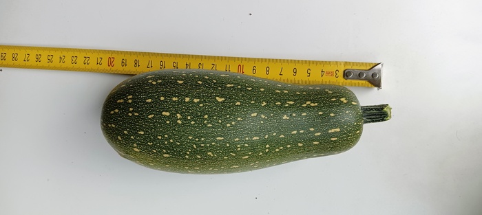 А кабачок ли это? | Пикабу