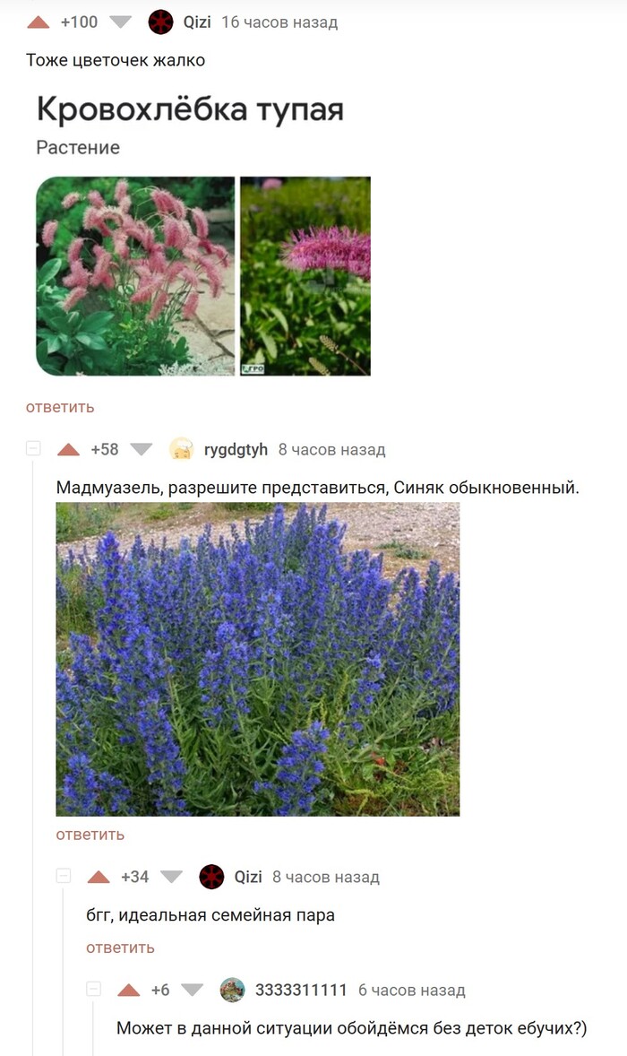Ботаническое Пикабу, Комментарии на Пикабу, Цветы, Растения, Скриншот, Мат