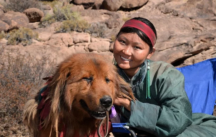 Hotosho: How did Buddhism in society change the nature of dogs? Features of the Buryat native breed - Dog, Dog days, Animal book, Yandex Zen, Longpost