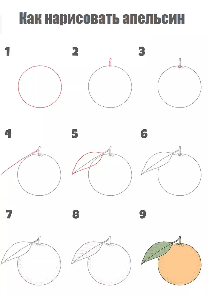 Как нарисовать апельсин поэтапно