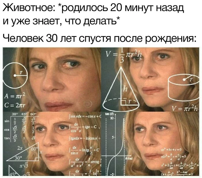 Really interesting) - Picture with text, Memes, Images, Sarcasm, The science, Смысл жизни, Question